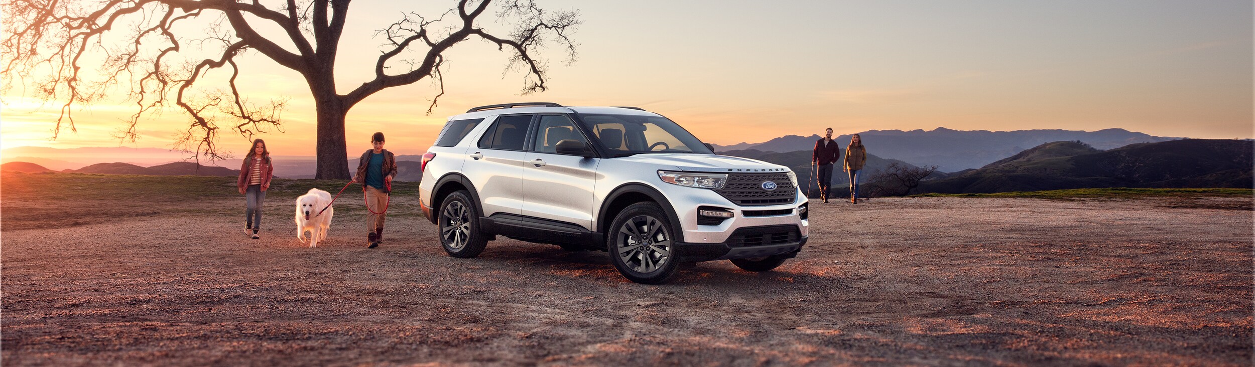 Used Ford