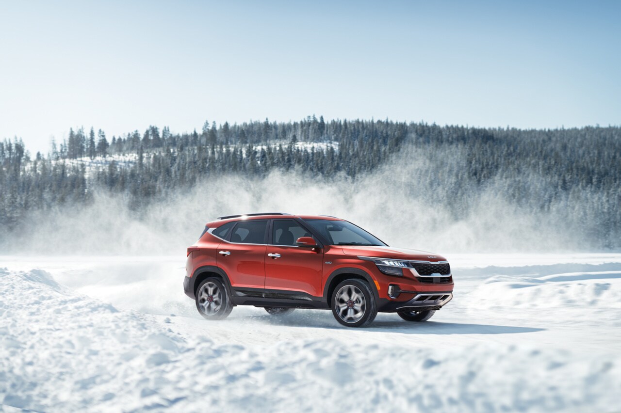 USD20KIS082C01352.jpg Kia Seltos