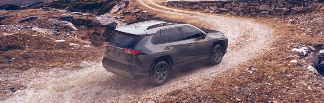 2025 Toyota RAV4
