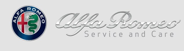 Alfa Service.PNG