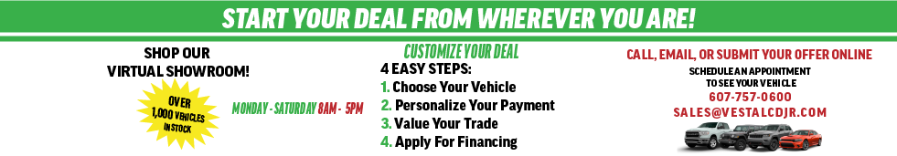 Shop Online Skinny Banner - Vestal- May 2020.png