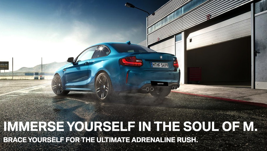 BMW Performance Driving Program