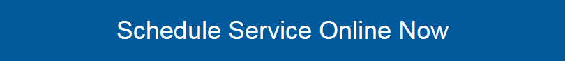 Schedule Service Online Now.png