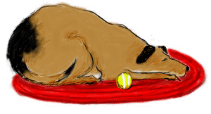 Franklin Township Animal Shelter.gif