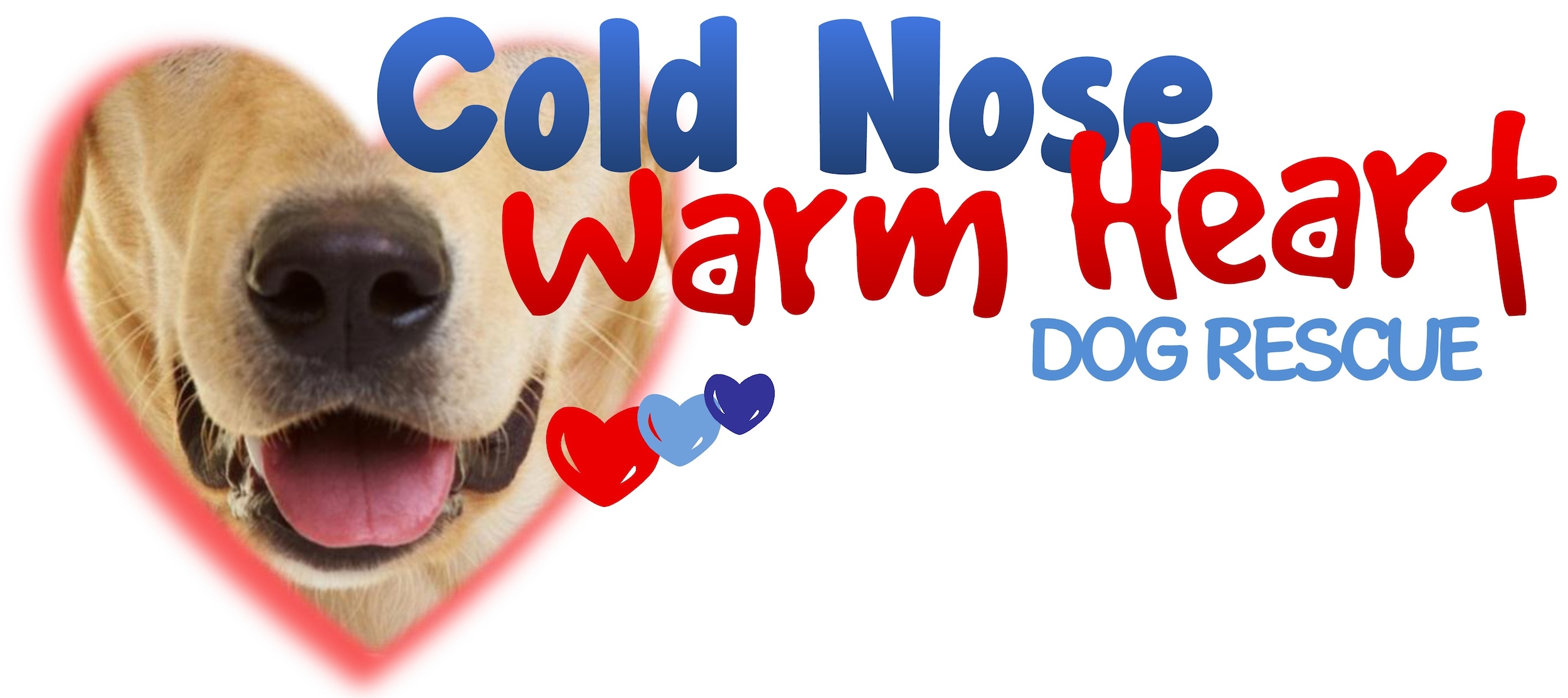 Cold Nose Warm Heart.jpg