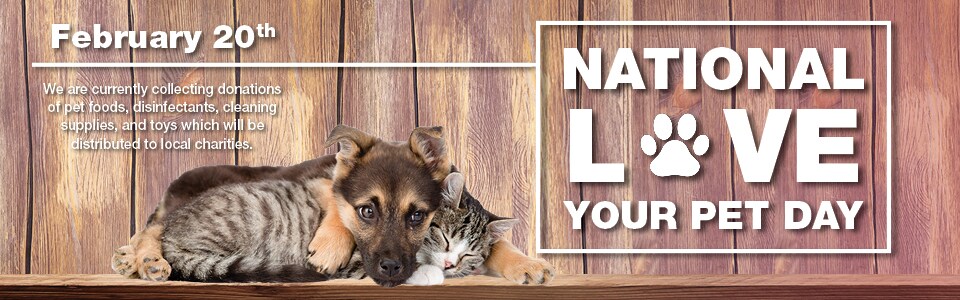 VIS-134 February Homepage Banners (2-2018)4.jpg