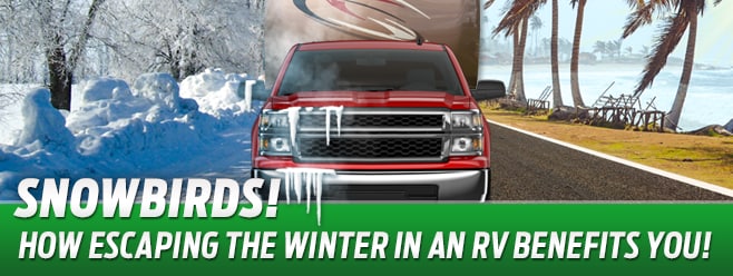 Snowbirds.PNG