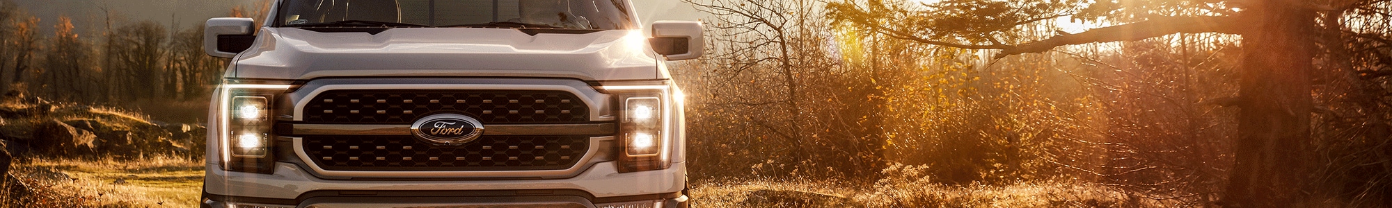 2021-ford-f-150.png