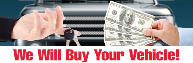 Will Buy Cars.jpg
