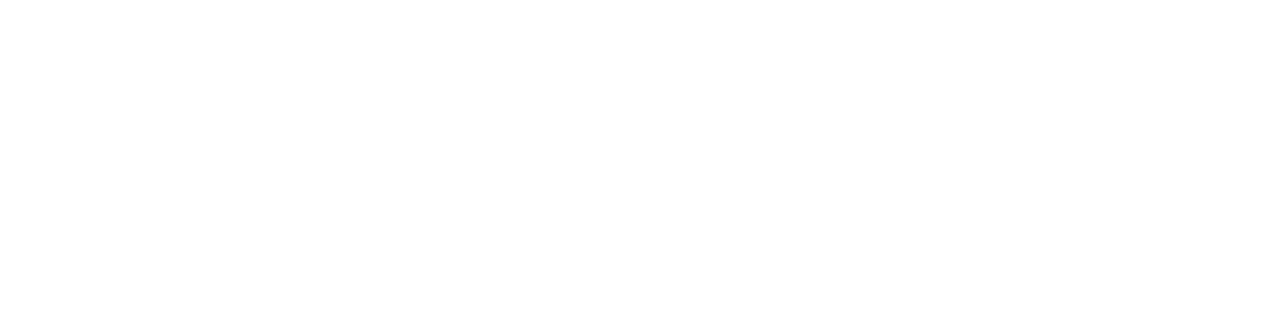PartnerDrive_lockup_WHITE.png