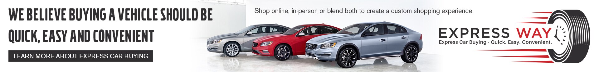 Volvo SRP Display Banner Ad (2).jpg