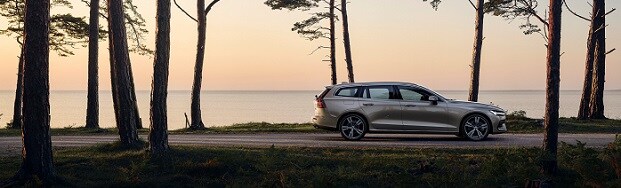 2019_V60_footer.jpg