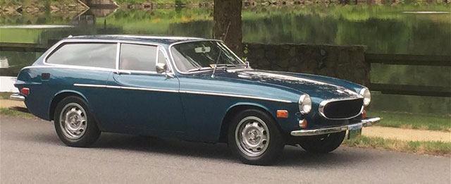P1800mature.jpg