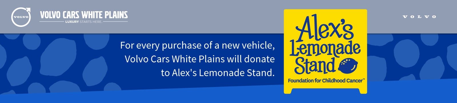VCWP-629-Alex's-Lemonade-Stand-Header.jpg