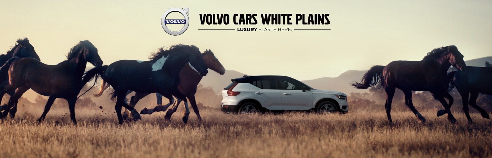 Volvo XC40 lease deal image