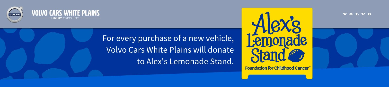 VCWP-629-Alex's-Lemonade-Stand-Header.jpg