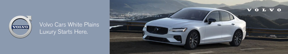 VCWP-603-Dealership-Branded-Header.jpg