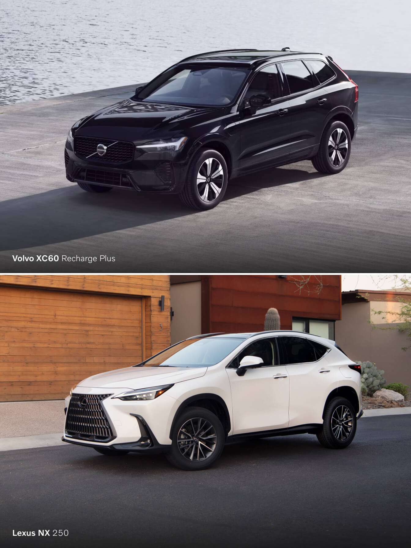 2024 Volvo XC60 vs. Lexus NX Trims