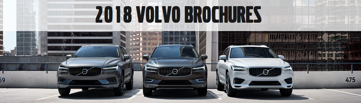 2018 Brochure header.png