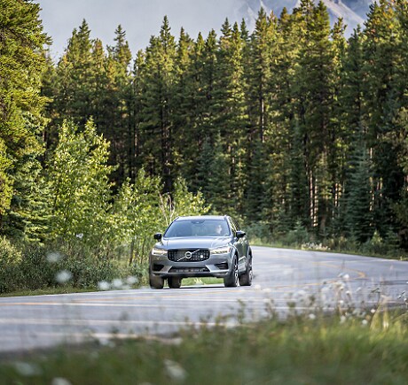 2020-XC60-location