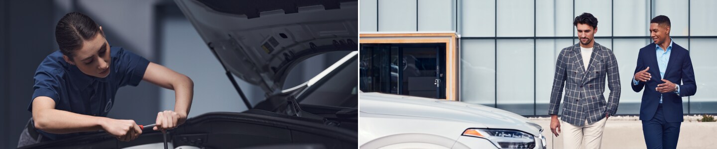 Apex Volvo Dealer