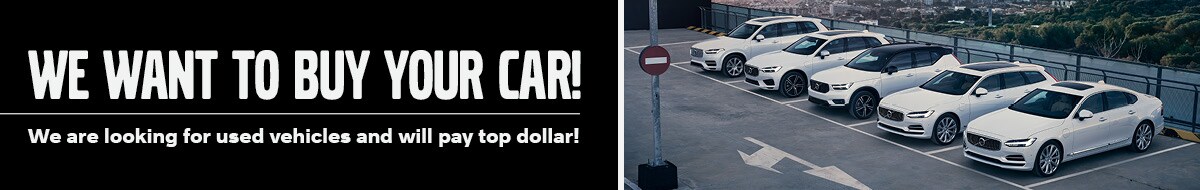 We Want to Buy Your Car