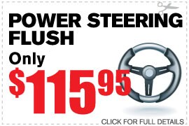 Power Steering Flush & Check Up