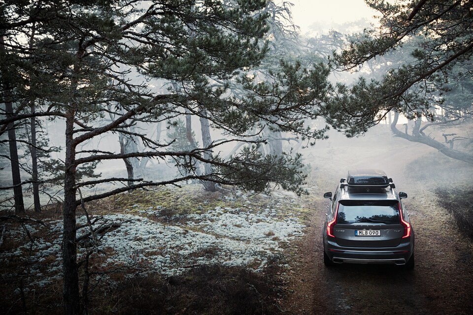 2019-Volvo-XC90-Inscription-T6-SUV-L05.png