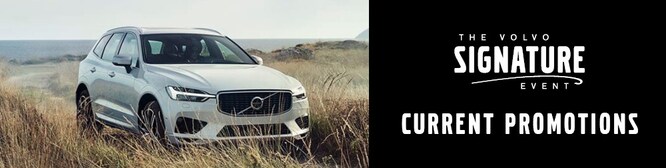 Volvo Hero Image.jpg
