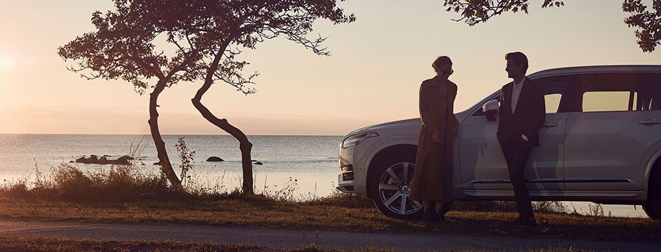 XC90-Strip-June.jpg