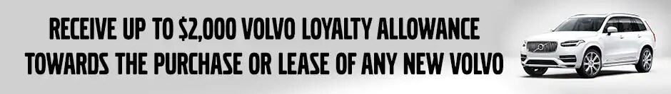 banner.jpg