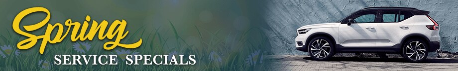 banner.png