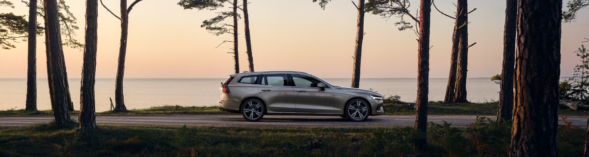 2019-Volvo-V60-Inscription-T6-SUV-L11 (1).jpg New Volvo V60 in the woods
