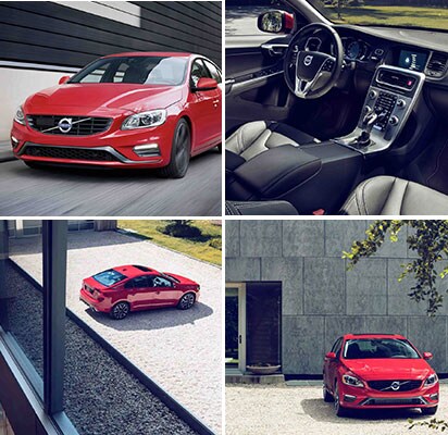 Created to surprise and delight Created to surprise and delight