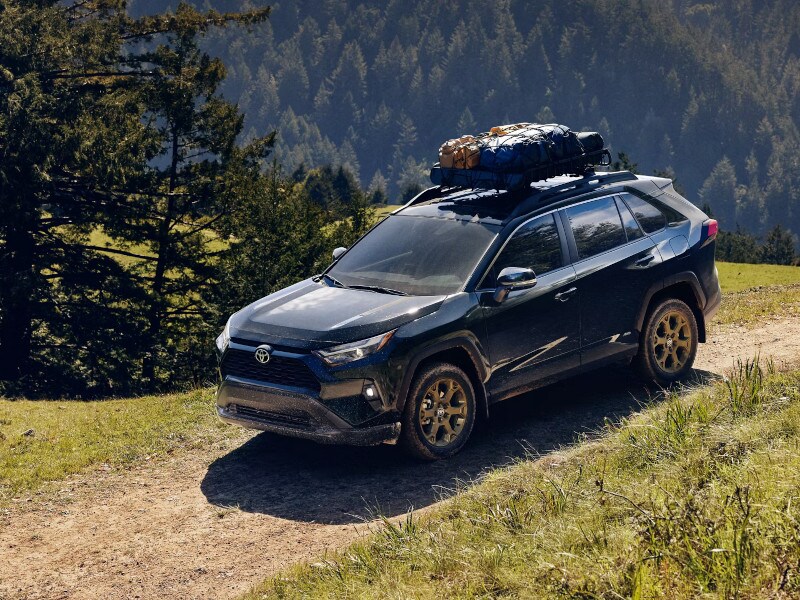 2025 Toyota RAV4 Hybrid