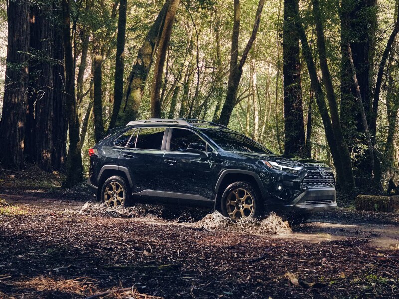 2025 Toyota RAV4
