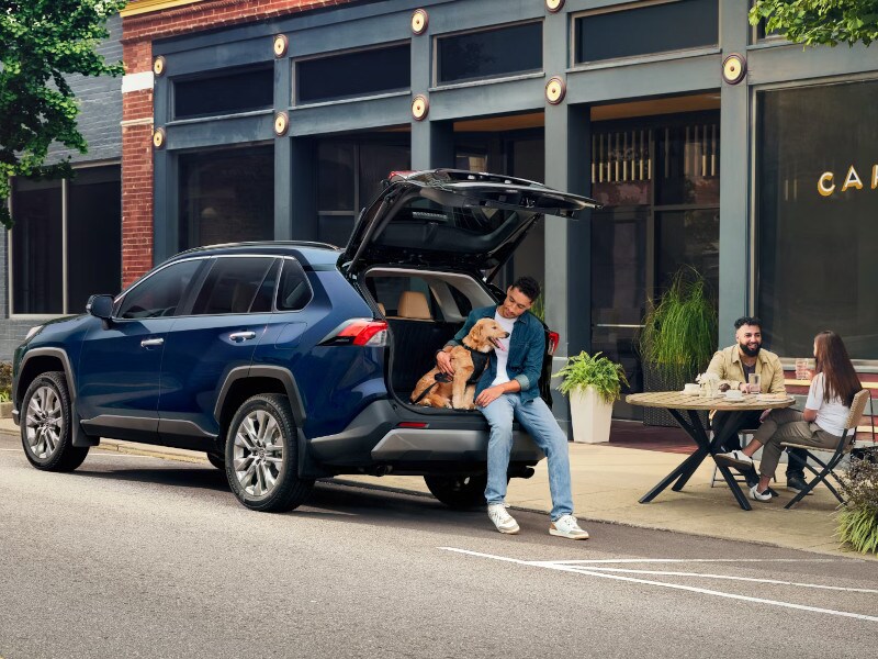 2025 Toyota RAV4 Hybrid
