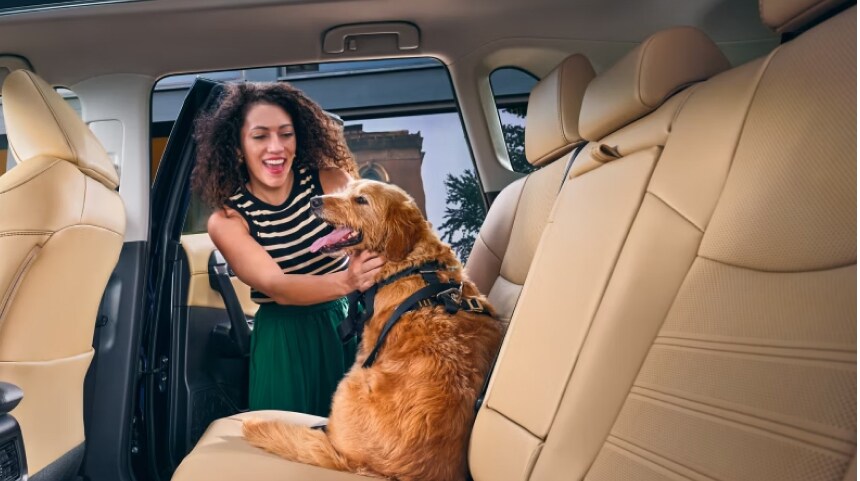 Woman putting her dog in the rear seat of her Toyota