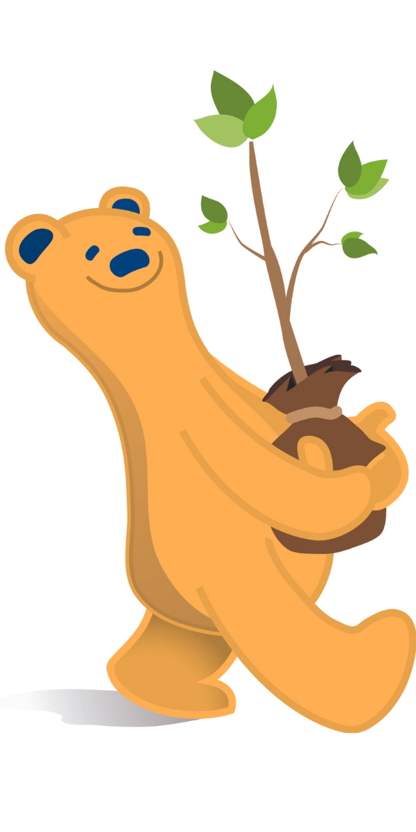 Transparent Background Brown Bear and Tree (3).png