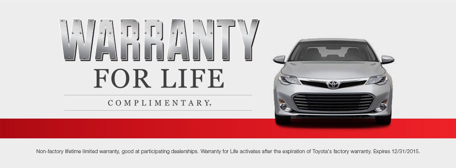 TOY-WFL-Header.jpg