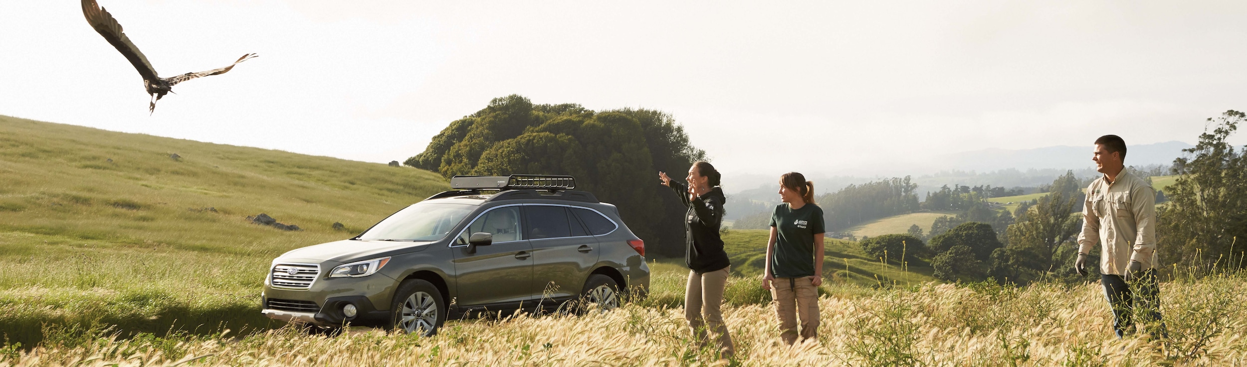 2015 Forester Photo