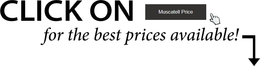 Get Your Special Internet Only Offer.png