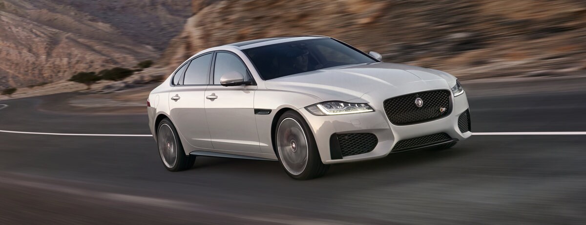 JaguarFlorida.jpg