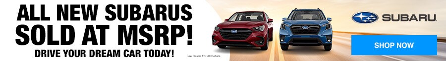 subarus_banner-jan-2023 (1).jpg
