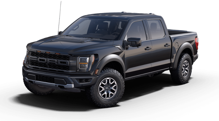 Ford F-150 8