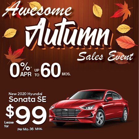 Hyundai New Car Specials OCTOBER 2020 450 x 4502.jpg