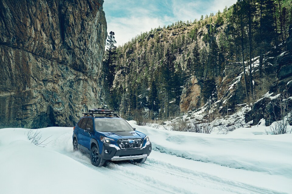 2022 Subaru Forester Wilderness SUV Subaru Forester Wilderness for sale in Pompton Plains at Wayne Subaru