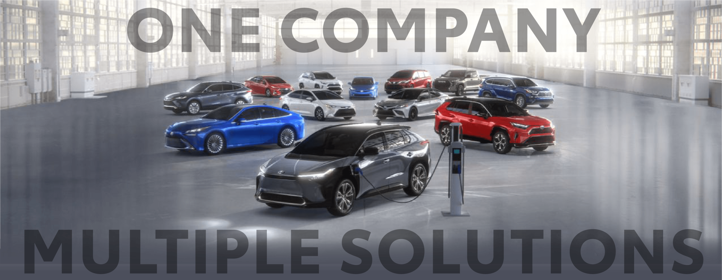Multiple Solutions@3x-8.png