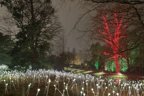 Longwood Gardens.jpg