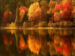 AUTUMN.jpg